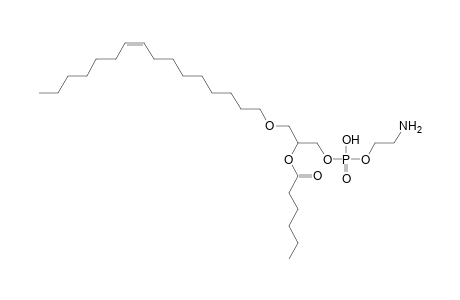 PE O-16:1_6:0