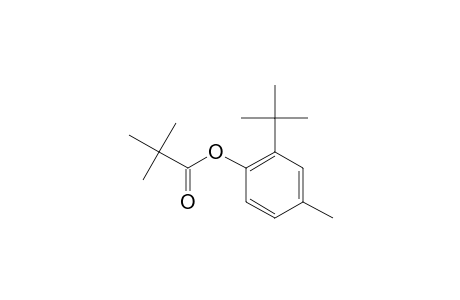 Propanoic acid, 2,2-dimethyl-, 2-(1,1-dimethylethyl)-4-methylphenyl ester