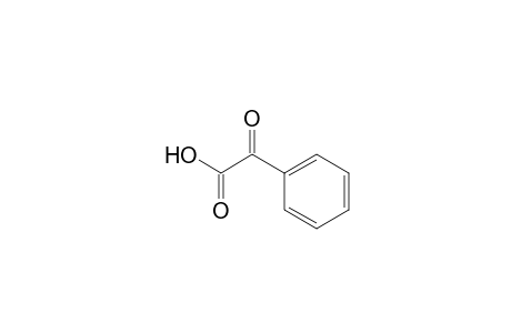 Phenylglyoxylic acid