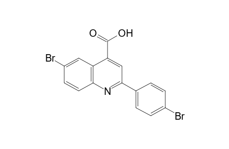 6-bromo-2-(p-bromophenyl)cinchoninic acid