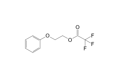 trifluoroacetic acid, 2-phenoxyethyl ester