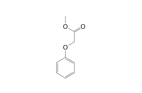 Phenoxyacetic acid methylester