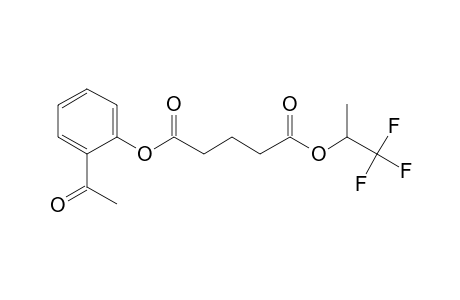 Glutaric acid, 1,1,1-trifluoroprop-2-yl 2-acetylphenyl ester