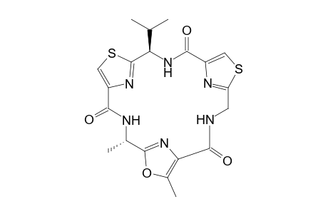 Nostocyclamide