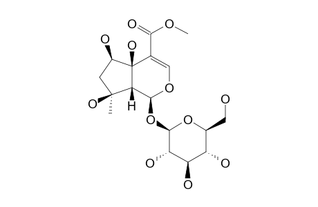 6B-HYDROXYIPOLAMIIDE