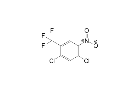 2,4-DICHLORO-5-NITRO-alpha,alpha,alpha-TRIFLUOROTOLUENE