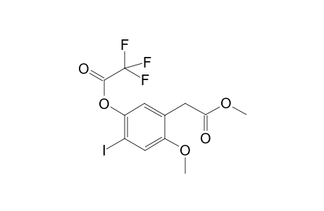 2C-I-M METFA