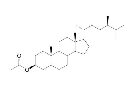 Endogenous (CN) acetate dev.