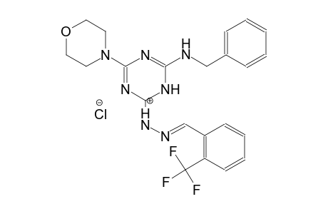 1-(6-(benzylamino)-4-morpholino-1,3,5-triazin-2(1H)-ylidene)-2-(2-(trifluoromethyl)benzylidene)hydrazin-1-ium chloride