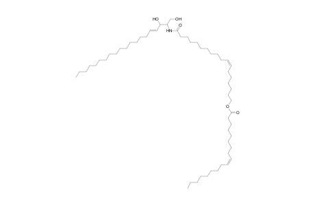Cer 20:1;2O/18:1;O(FA 18:1)