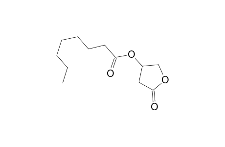 Octanoylcarnitine oxylactone