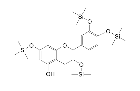 Catechin, 3,3',4',7-tetra-TMS (tentative)