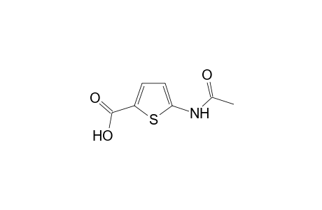 2-Thiophenecarboxylic acid, 5-(acetylamino)-