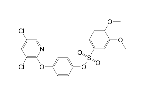 4-[(3,5-dichloro-2-pyridinyl)oxy]phenyl 3,4-dimethoxybenzenesulfonate