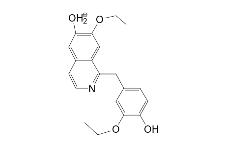 Ethaverine-M (O-deethyl-) MS3_1