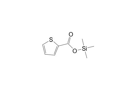 2-Thiophenecarboxylic acid, trimethylsilyl ester
