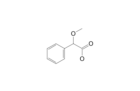 O-Methyl-DL-mandelic acid