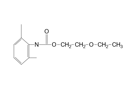 2,6-dimethylcarbanilic acid, 2-ethoxyethyl ester