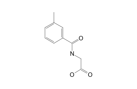 m-methylhippuric acid