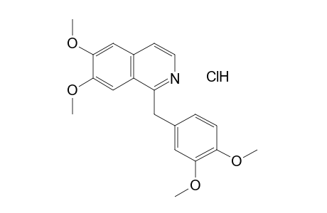 Papaverine HCl