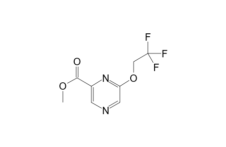 Methyl 6-(2,2,2-trifluoroethoxy)pyrazine-2-carboxylate