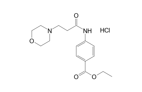 p-(3-Morpholinopropionamido)benzoic acid, ethyl ester, hydrochloride