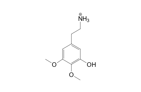 Mescaline-M (O-demethyl-N-acetyl) isomer 1 MS3_1