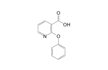 2-Phenoxynicotinic acid