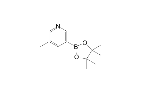 3-Methyl-5-(4,4,5,5-tetramethyl-1,3,2-dioxaborolan-2-yl)pyridine