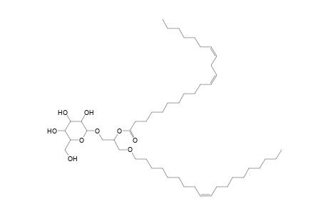 MGDG O-19:1_21:2