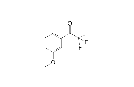 TRIFLUOROMETHYL-(3-METHOXYPHENYL)-KETONE;2,2,2-TRIFLUORO-1-(3-METHOXYPHENYL)-ETHANONE