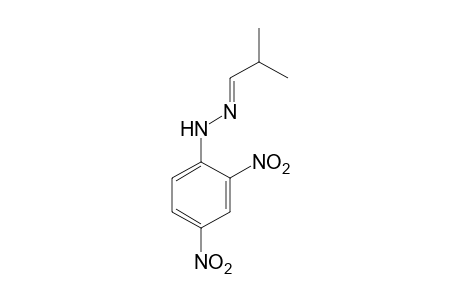 Isobutyraldehyde 2,4-dinitrophenylhydrazone