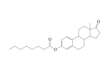 Estrone, octanoate