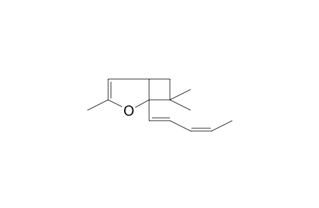 3,7,7-Trimethyl-1-penta-1,3-dienyl-2-oxabicyclo[3.2.0]hept-3-ene