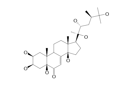 Dacrysterone