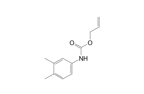3,4-dimethylcarbanilic acid, allyl ester