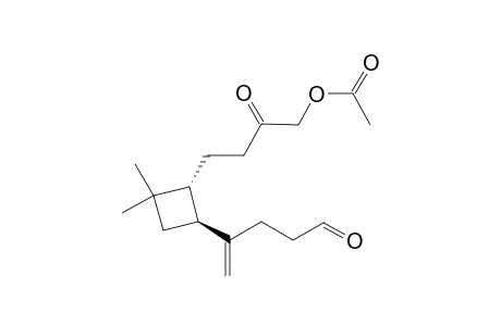 (1R,2S)-1-[(4-Acetoxy-3-oxo)butyl]-4,4-dimethyl-2-(4-formylbut-1-en-2-yl)cyclobutane