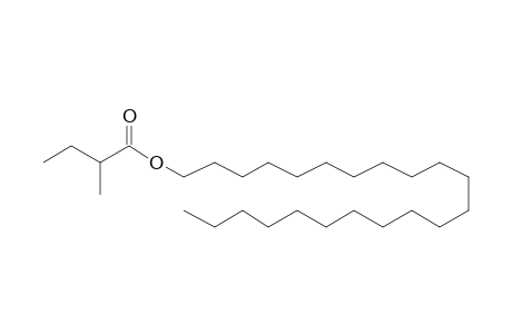 Docosyl 2-methylbutanoate