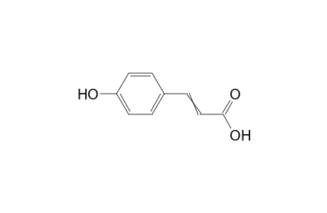 4-Hydroxycinnamic acid