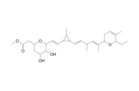 Methyl 5,6-dihydroxypolyangioate and methyl 5-epi-5,6-dihydroxypolangioate