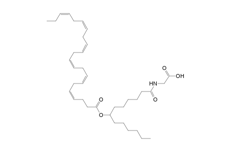 NAGly 22:6/13:0