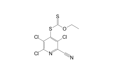 S-(2,3,5-TRICHLORO-6-CYANO-4-PYRIDYL)-ETHYLXANTHATE