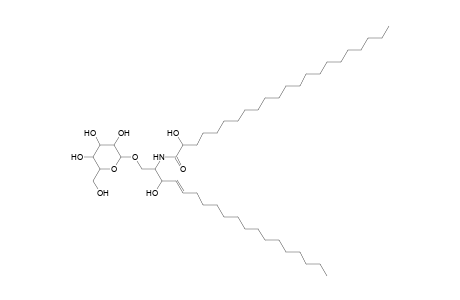 HexCer 19:1;2O/22:0;O