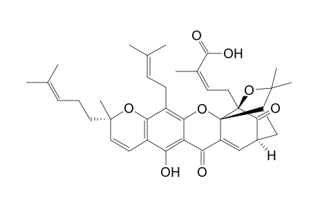 Epigambogic acid