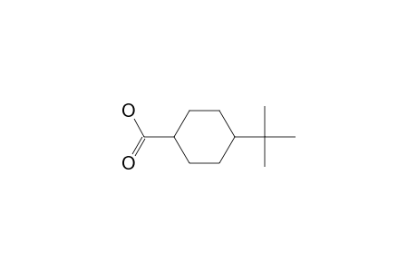 4-tert-Butylcyclohexanecarboxylic acid