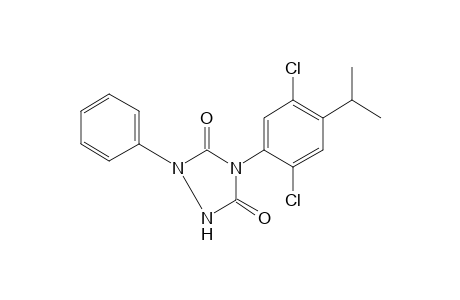 N-(2,5-dichloro-p-cumenyl)-2-phenylbicarbamimide