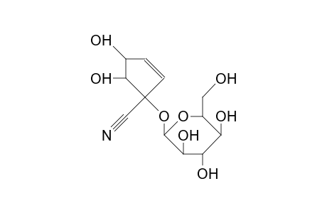 Gynocardin