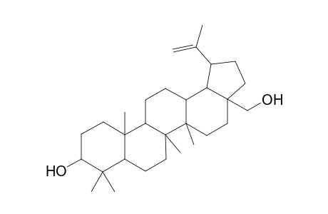 Betuline