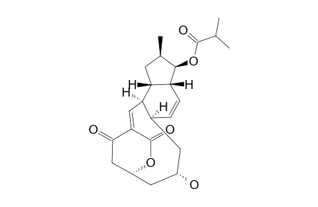 COCHLEAMYCIN-2A