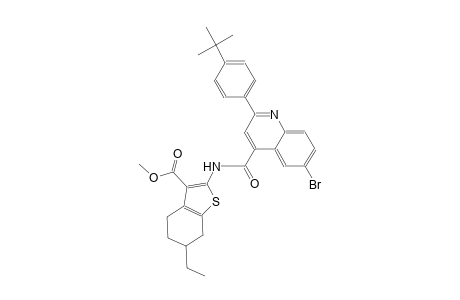 methyl 2-({[6-bromo-2-(4-tert-butylphenyl)-4-quinolinyl]carbonyl}amino)-6-ethyl-4,5,6,7-tetrahydro-1-benzothiophene-3-carboxylate